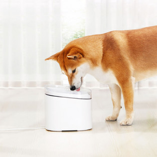 Xiaomi Kitten&Puppy Water Dispenser White